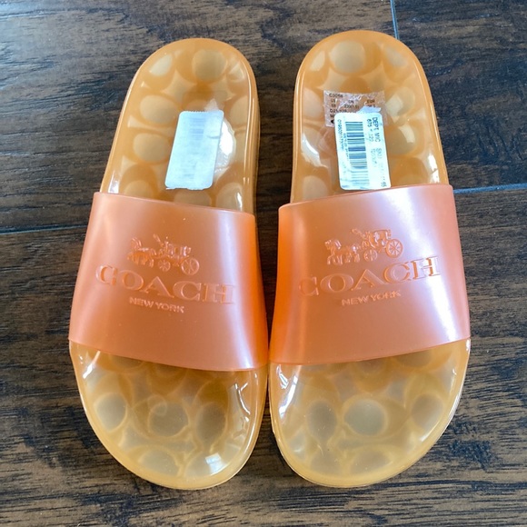 Coach slides - Picture 1 of 2